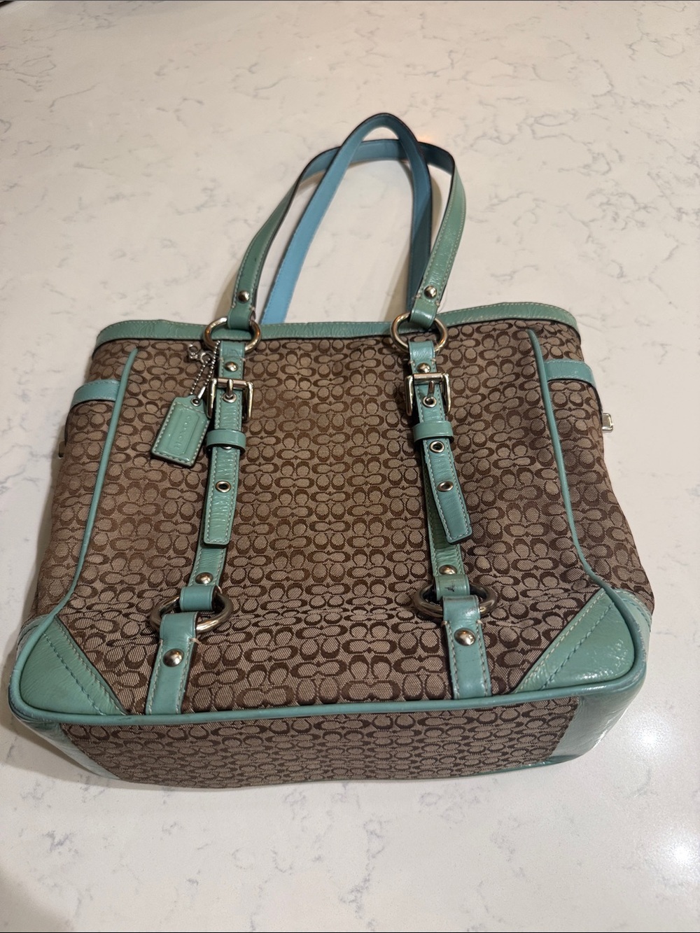 Coach Brown Signature Tote with Mint Green Trim